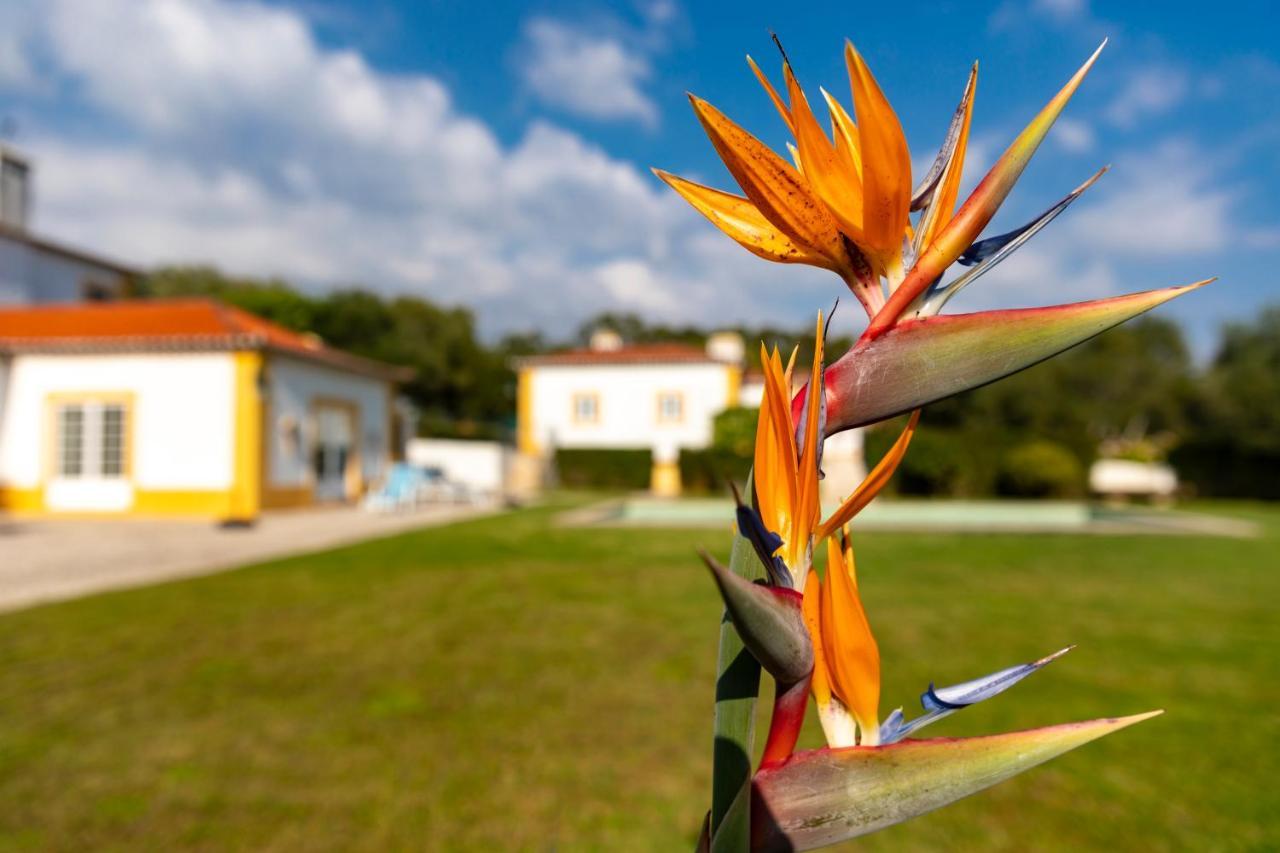 Bed and Breakfast Quinta do Pé Descalço Sintra Esterno foto
